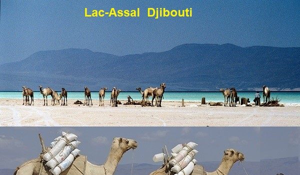 Djibouti : Affrontement à Lac-Assal entre des Chinois et la population djiboutienne de cette localité.