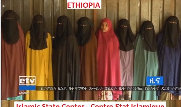 Éthiopie : Centre État Islamique, le nouveau groupe islamiste extrémiste armé qui voit le jour en Éthiopie.