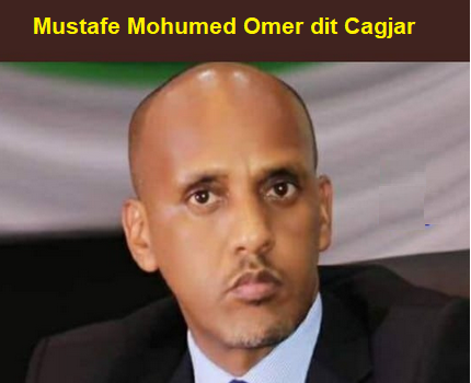 Éthiopie/région Somali : y a-t-il eu un coup de force raté dans la région somalie de l’Éthiopie ?